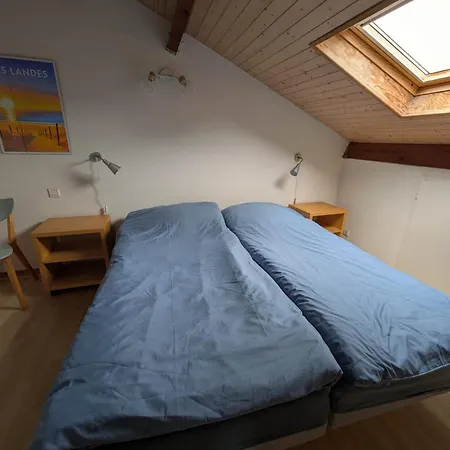 Prázdninový dům Maison Landes Ocean - Julien En Born - Contis *