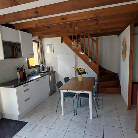 Maison Landes Ocean - Julien En Born - Contis