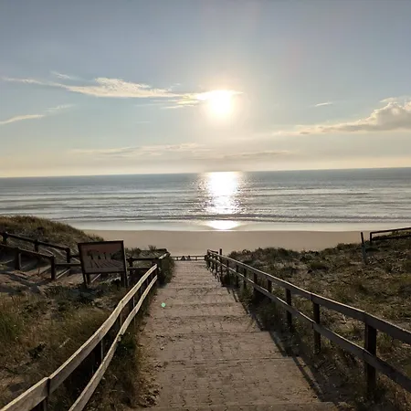 Maison Landes Ocean - Julien En Born - Contis *
