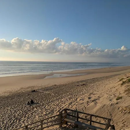 Maison Landes Ocean - Julien En Born - Contis Prázdninový dům